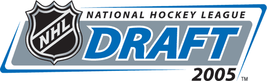 NHL Draft 2005 Primary Logo t shirts iron on transfers